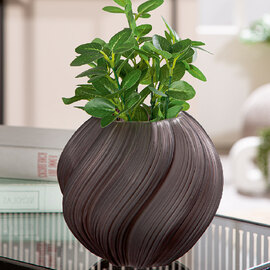 Senoia Glass Fluted Vase - Dark Brown