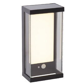 Solar LED White Polycarbonate Outdoor Wall Light In Black