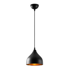 Trendline Metal Brass Dome Ceiling Pendant Light in Black