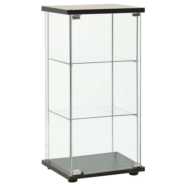 Absecon Black Shoe Storage Cabinet With Tempered Glass Frame