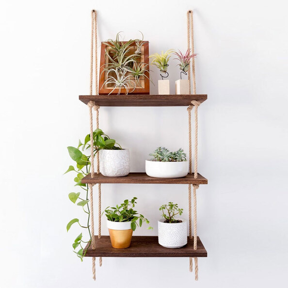 Bicdale Spruce Wood Wall Shelf with 3 Shelves in Walnut