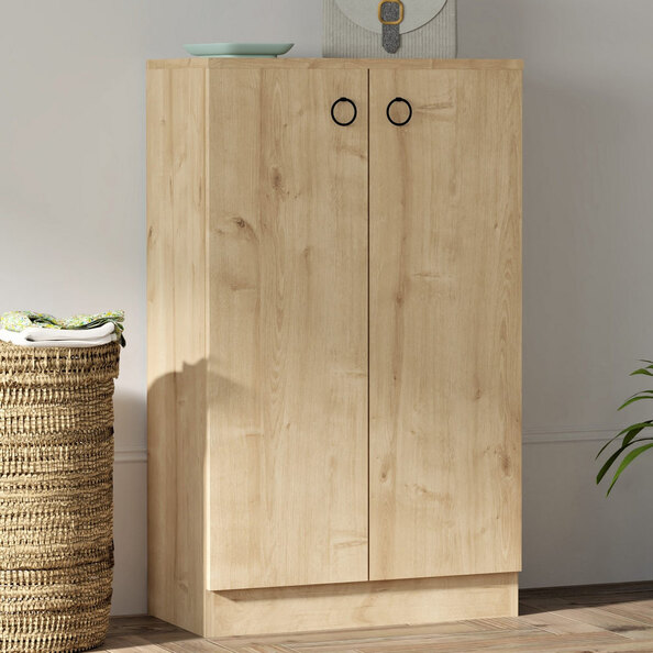 Davion Wooden Shoe Cabinet With 2 Doors In Sapphire
