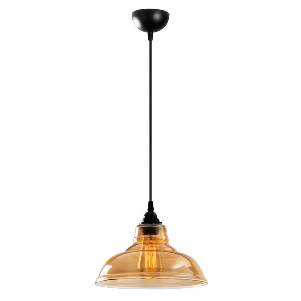 Dilberay Metal Ceiling Pendant Light in Black