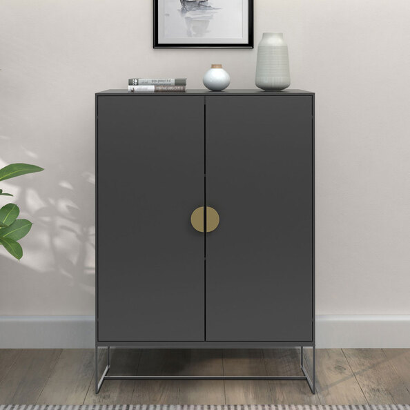 Elvian Wooden Storage Cabinet with 2 Doors in Anthracite and Grey