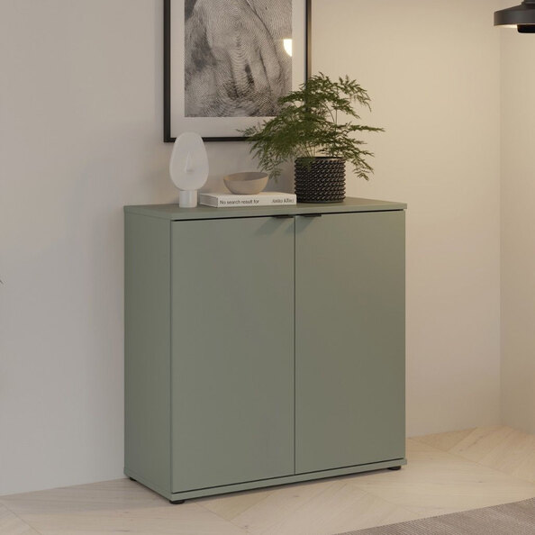 Gelion Wooden Storage Cabinet with 2 Doors in Sage Green