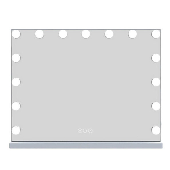 Holmdel Large Dressing Mirror With LED Lighting In Clear