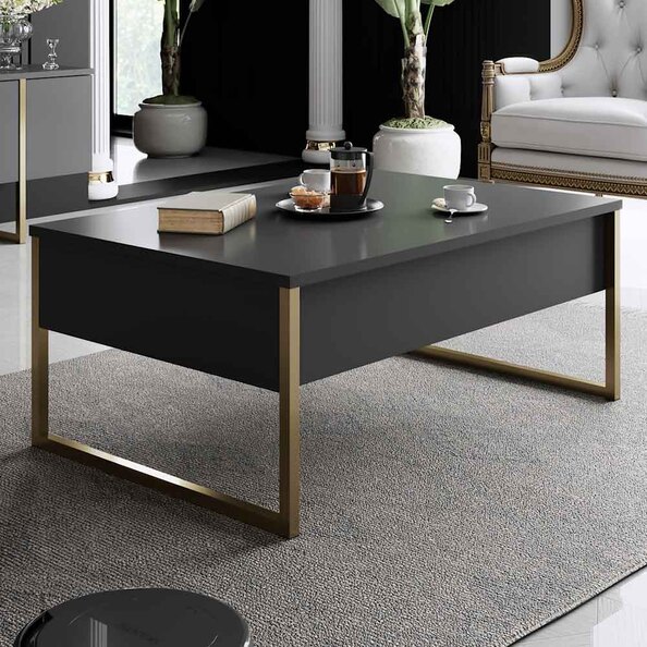 Nordic Wooden Coffee Table with Gold Metal Frame in Anthracite