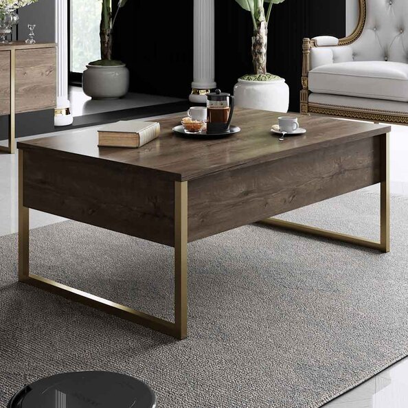 Nordic Wooden Coffee Table with Gold Metal Frame in Walnut