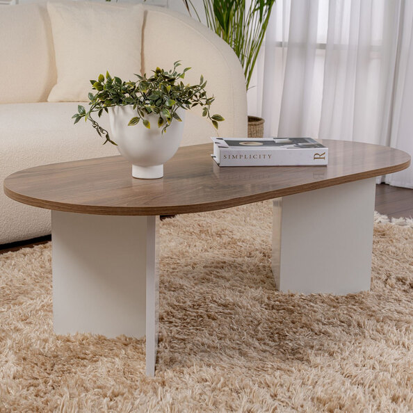 Savelio Oval Wooden Coffee Table in Walnut and White
