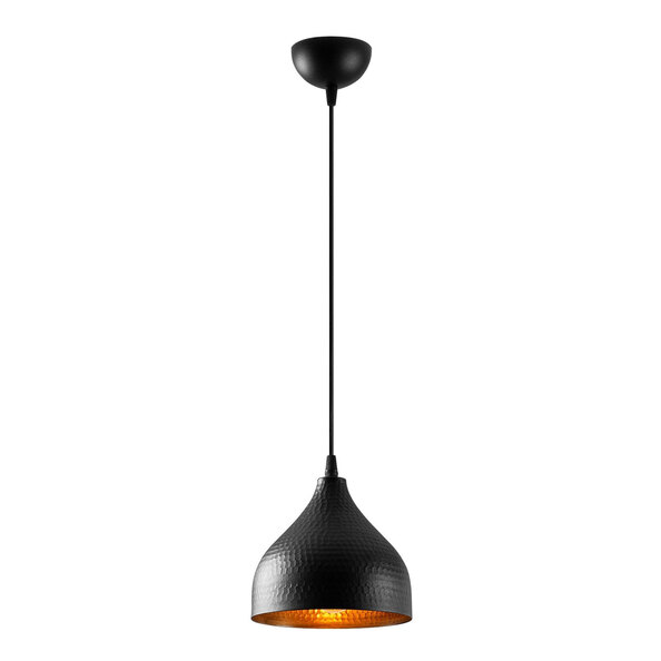Trendline Metal Brass Dome Ceiling Pendant Light in Black