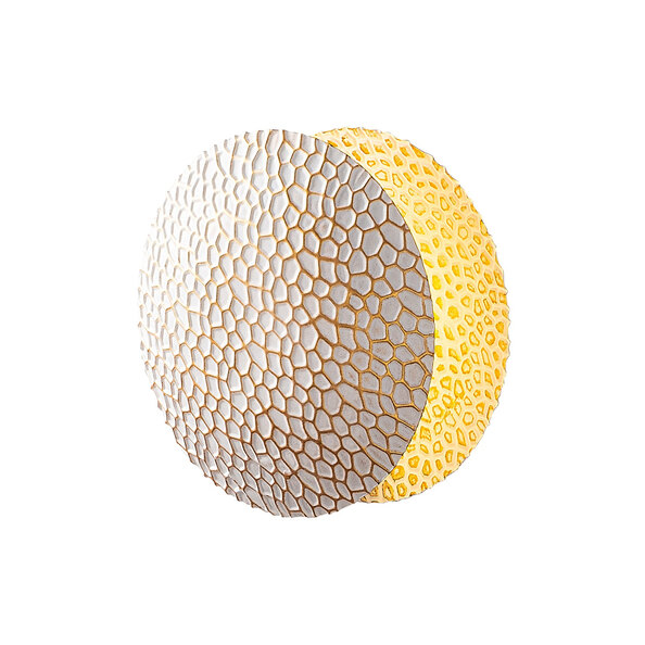Yosma Metal Wall Light in White and Gold