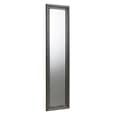 Abrielle Dressing Mirror In Pewter
