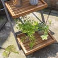 Arundel Large Wooden Garden Ladder Planter In Grey And Natural
