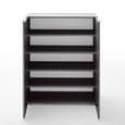 Genie Modern Shoe Cabinet In Matt Anthracite With 2 Doors
