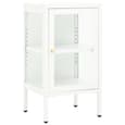 Hetty Clear Glass Sideboard With 1 Door In White Steel Frame