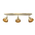 Moline 3 Lights Linear Bar Spotlight In Antique Brass