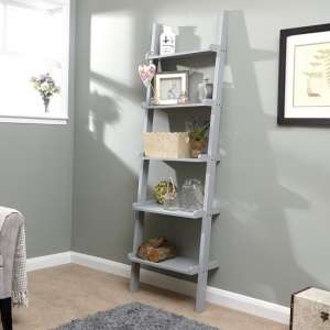 Lizard Ladder Style Wall Mounted Shelving Unit In Grey