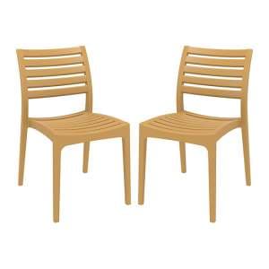 Albany Teak Polypropylene Dining Chairs In Pair