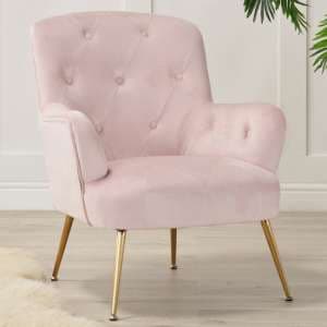 Ariana Plush Velvet Armchair With Gold Legs In Pink