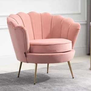 Ariel Fabric Accent Chair In Coral