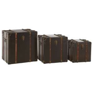 Bagort Wooden Set Of 3 Storage Trunks In Brown Leather Effect - UK
