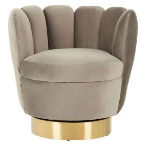 Bealie Velvet Bedroom Chair With Gold Base In Grey
