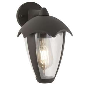 Bluebell Outdoor Polycarbonate Wall Light In Dark Grey