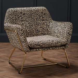 Charlies Velvet Armchair With Gold Frame In Leopard Print