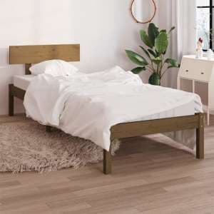Chavez Solid Pinewood Single Bed In Honey Brown