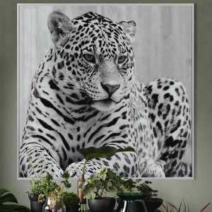 Cursa Cheetah Black And White Picture Glass Wall Art