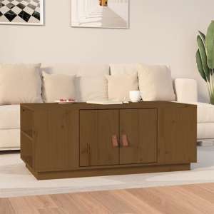 Drika Pinewood Coffee Table With 2 Doors And Shelves In Brown