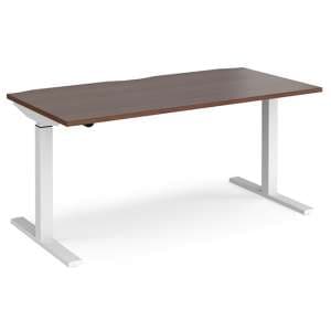 Elev 1600mm Electric Height Adjustable Desk In Walnut And White