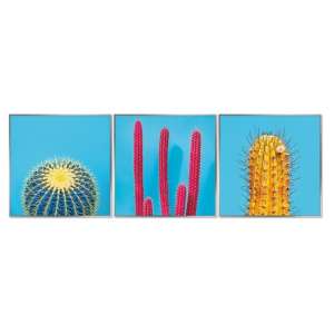Acrylic Framed Cactus Pictures (Set of Three) - UK