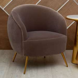 Intercrus Upholstered Velvet Armchair In Mink And Gold - UK