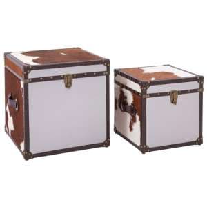 Kensick Wooden Set Of 2 Storage Trunks In Brown And White - UK