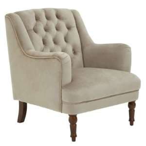 Lillie Velvet Upholstered Armchair In Mink