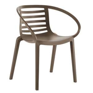 Maybelle Polypropylene Arm Chair In Taupe Brown - UK