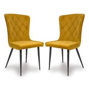 Merill Mustard Velvet Dining Chairs With Metal Legs In Pair