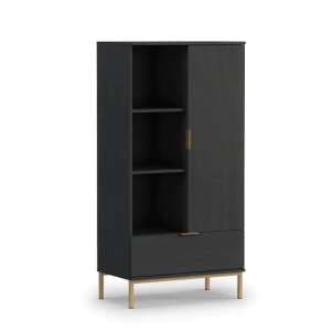 Pavia Wooden Display Cabinet With 1 Door In Black Portland Ash