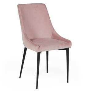 Payton Velvet Dining Chair With Metal Legs In Blush - UK