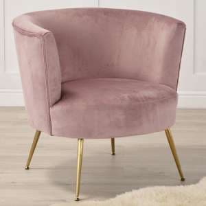 Phobia Velvet Tub Chair With Gold Metal Legs In Pink