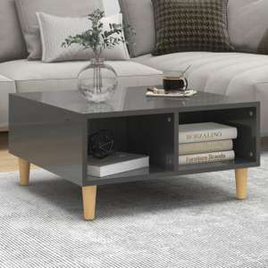 Riye High Gloss Coffee Table With 2 Shelves In Grey