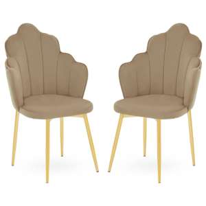 Tania Mink Velvet Dining Chairs With Gold Legs In A Pair