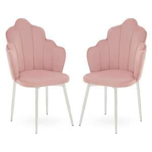 Tania Pink Velvet Dining Chairs With Chrome Legs In A Pair