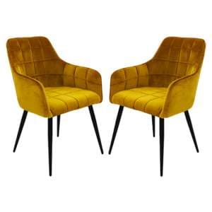 Vernal Mustard Velvet Dining Chairs With Black Legs In Pair