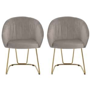 Vinita Upholstered Mink Velvet Dining Chairs In A Pair