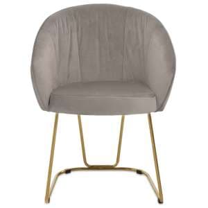 Vinita Upholstered Velvet Dining Chair In Mink