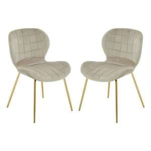 Warden Mink Velvet Dining Chairs With Gold Legs In A Pair - UK