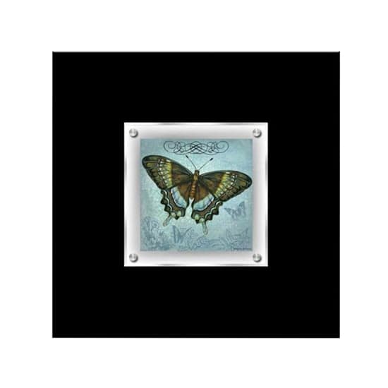 Agatiyo Decorative Butterfly 1 Wall Art Frame In Multicolor_1