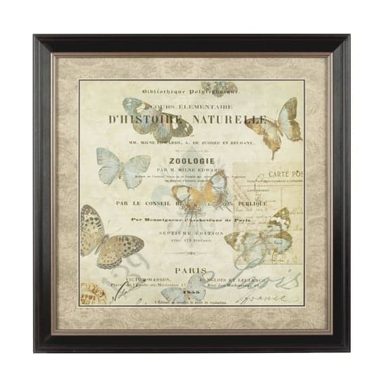 Agatiyo Framed Charming Butterfly Wall Art In Assorted_1